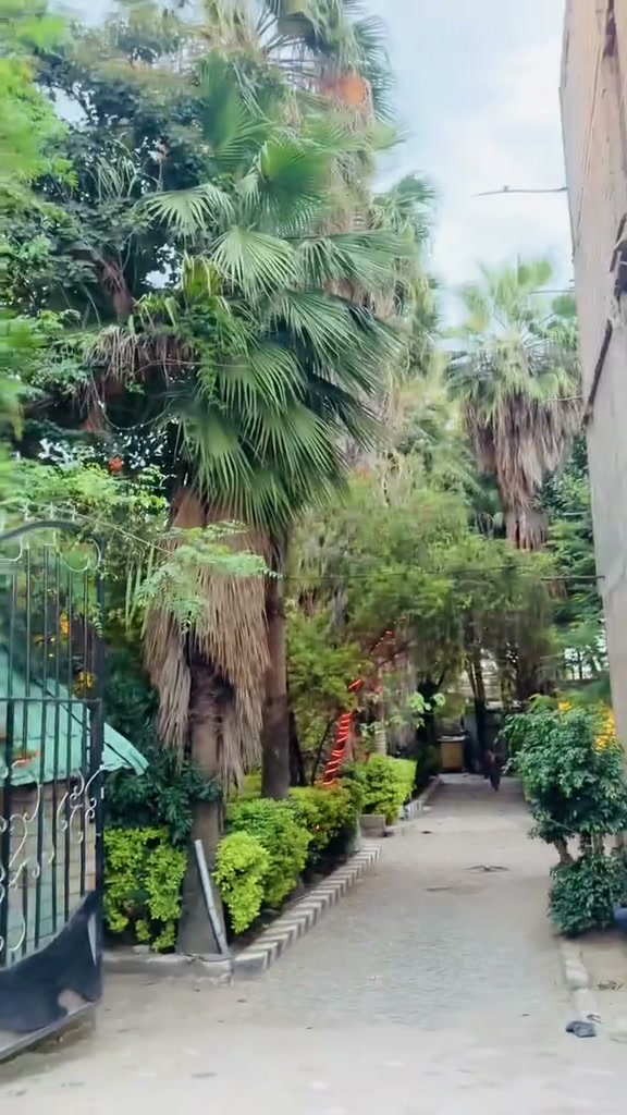 Gibe Hotel entrance walkway with lush tropical palms and greenery in Adama, Ethiopia