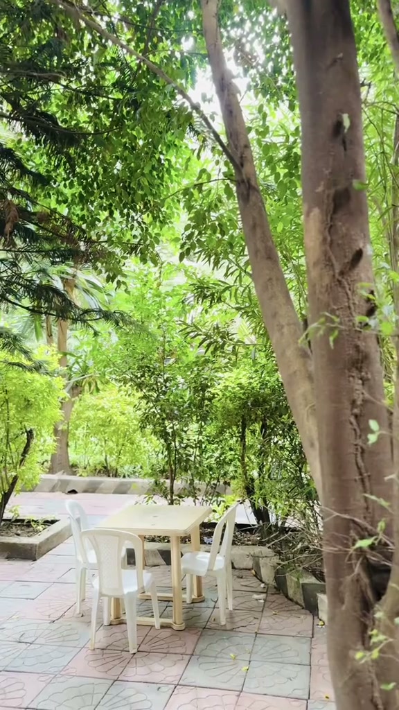 Outdoor garden dining area at Gibe Hotel under mature canopy trees with white patio tables and chairs